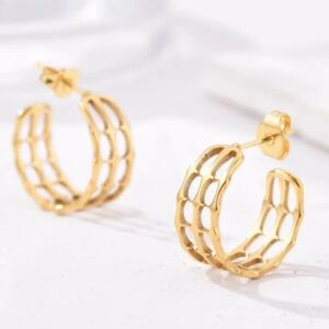 18 kt Gold over Titanium earrings